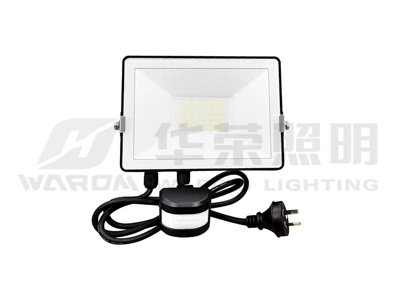 Utomhus PIR rörelsesensor LED Flood Light HRS-FL8201